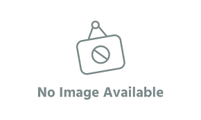 Portfolio Default